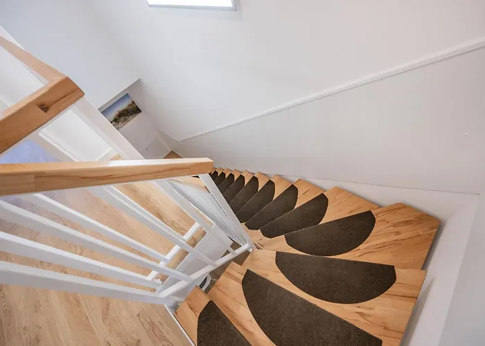 Strandrose * Kolpinsee